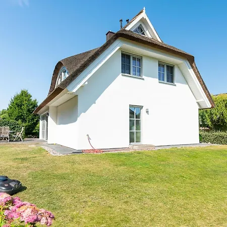 Seestern * Stubbenfelde